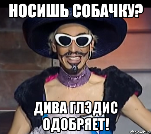 носишь собачку? дива глэдис одобряет!
