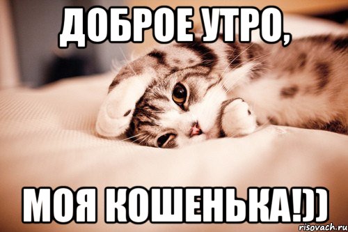 Доброе утро, Моя Кошенька!))