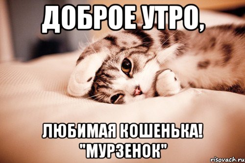 Доброе утро, Любимая Кошенька! "Мурзенок"
