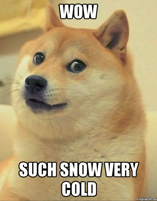 wow such snow very cold