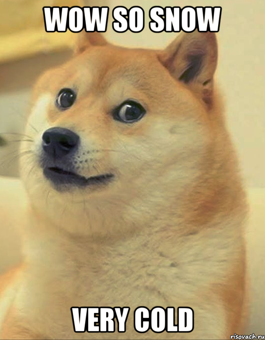 wow so snow very cold, Мем doge woof