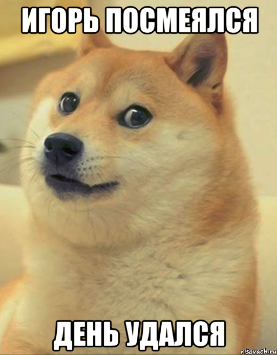 Игорь посмеялся День удался, Мем doge woof