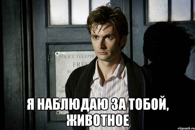  Я НАБЛЮДАЮ ЗА ТОБОЙ, ЖИВОТНОЕ, Мем Доктор кто