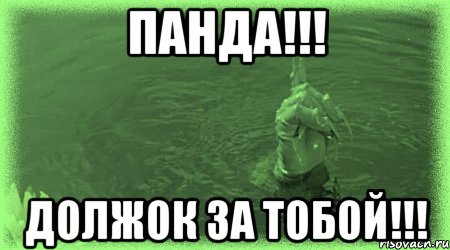 ПАНДА!!! ДОЛЖОК ЗА ТОБОЙ!!!