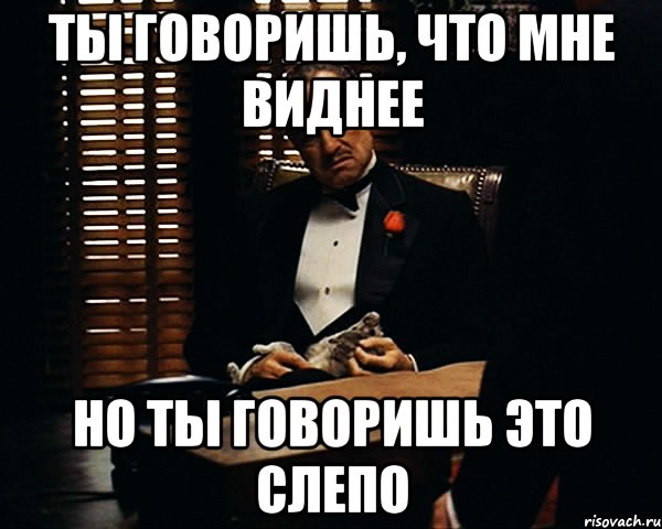 ты говоришь, что мне виднее но ты говоришь это слепо, Мем Дон Вито Корлеоне