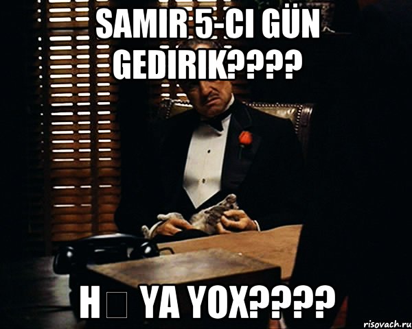 Samir 5-ci gün gedirik???? Hə ya yox????, Мем Дон Вито Корлеоне