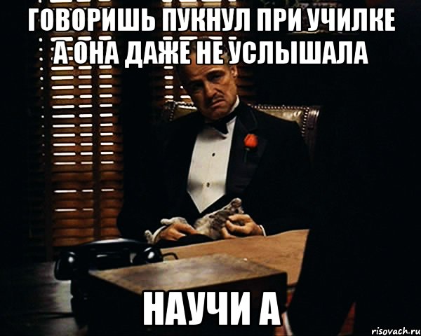 говоришь пукнул при училке а она даже не услышала НАУЧИ А, Мем Дон Вито Корлеоне