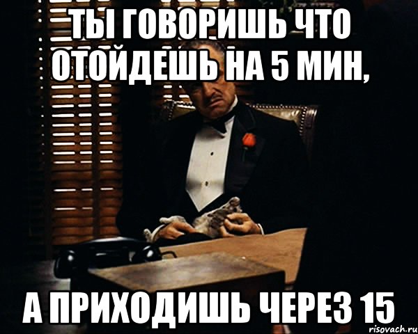 ты говоришь что отойдешь на 5 мин, а приходишь через 15, Мем Дон Вито Корлеоне