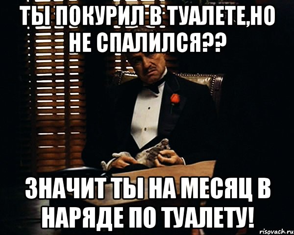 Ты покурил в туалете,но не спалился?? Значит ты на месяц в наряде по туалету!, Мем Дон Вито Корлеоне