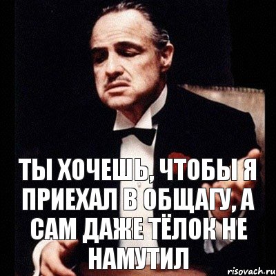 ТЫ ХОЧЕШЬ, ЧТОБЫ Я ПРИЕХАЛ В ОБЩАГУ, А САМ ДАЖЕ ТЁЛОК НЕ НАМУТИЛ, Комикс Дон Вито Корлеоне 1