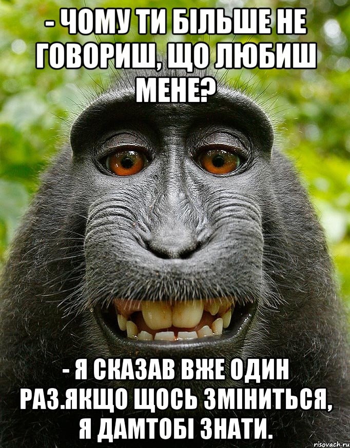 - Чому ти більше не говориш, що любиш мене? - Я сказав вже один раз.Якщо щось зміниться, я дамтобі знати., Мем  Довольная обезьяна