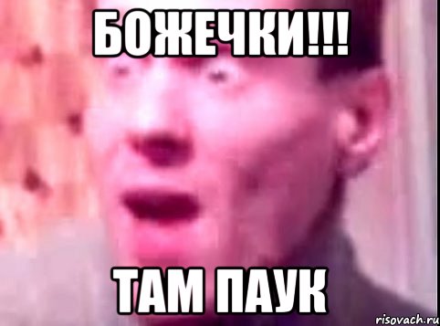 БОЖЕЧКИ!!! ТАМ ПАУК