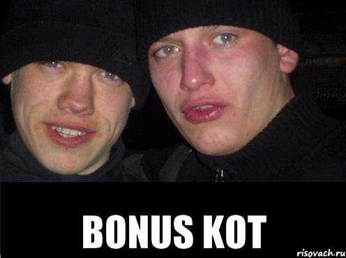  BONUS KOT, Мем Ебать ты лох