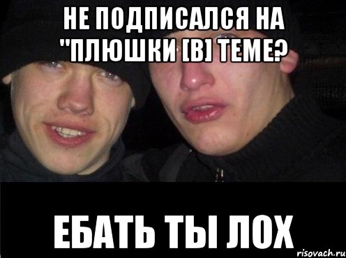 Не подписался на "плюшки [В] теме? Ебать ты лох