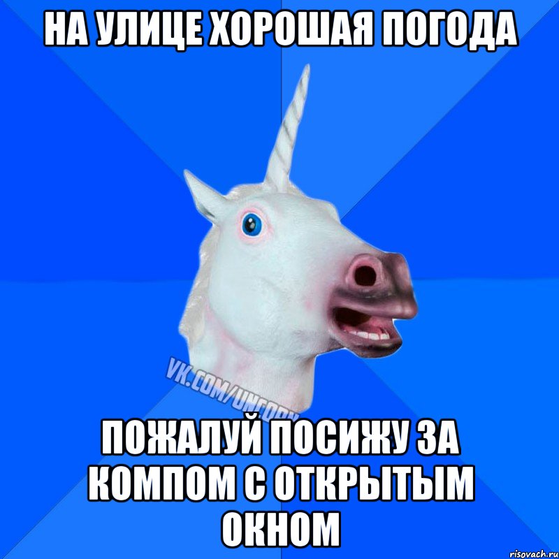 на улице хорошая погода пожалуй посижу за компом с открытым окном, Мем Единорог