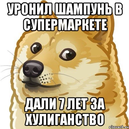 уронил шампунь в супермаркете дали 7 лет за хулиганство