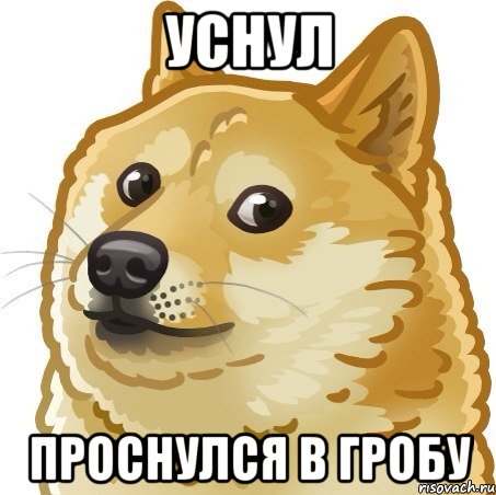 уснул проснулся в гробу