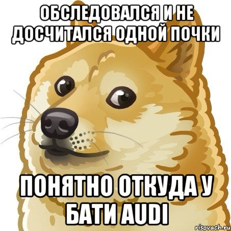 Обследовался и не досчитался одной почки Понятно откуда у бати Audi