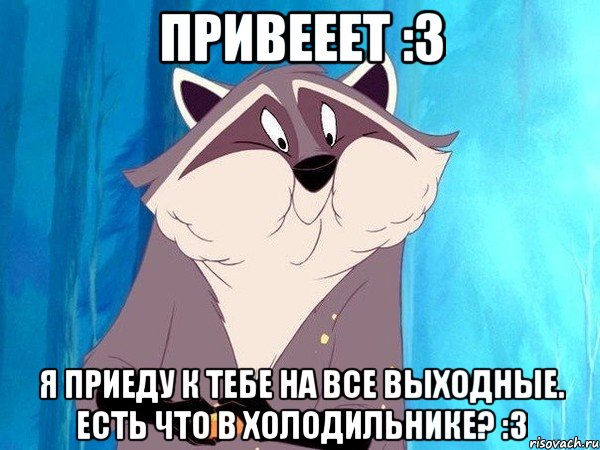 привееет :3 я приеду к тебе на все выходные. есть что в холодильнике? :3, Мем ЕНОТ ПОКАХОНТАС