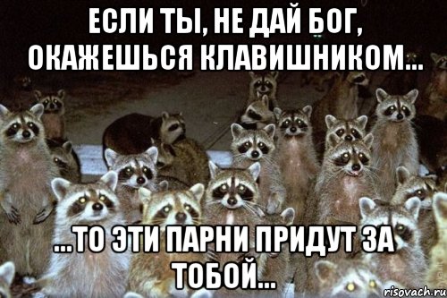 Если ты, не дай бог, окажешься клавишником... ...то эти парни придут за тобой..., Мем Еноты они повсюду