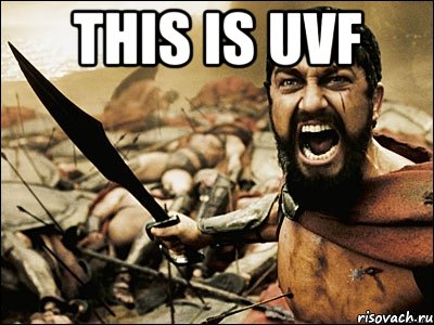 THIS IS UVF , Мем Это Спарта