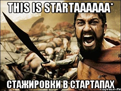 This is STARTAAAAAA* Стажировки в стартапах, Мем Это Спарта