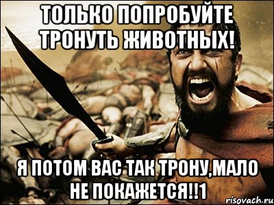 ТОЛЬКО ПОПРОБУЙТЕ ТРОНУТЬ ЖИВОТНЫХ! Я ПОТОМ ВАС ТАК ТРОНУ,МАЛО НЕ ПОКАЖЕТСЯ!!1, Мем Это Спарта