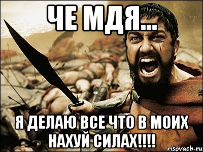 Че мдя... Я делаю все что в моих нахуй силах!!!!, Мем Это Спарта