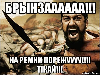 Брынзаааааа!!! На ремни порежуууу!!!! Тікай!!!, Мем Это Спарта