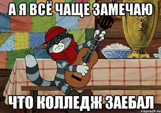 А Я ВСЁ ЧАЩЕ ЗАМЕЧАЮ ЧТО КОЛЛЕДЖ ЗАЕБАЛ, Мем Грустный Матроскин с гитарой