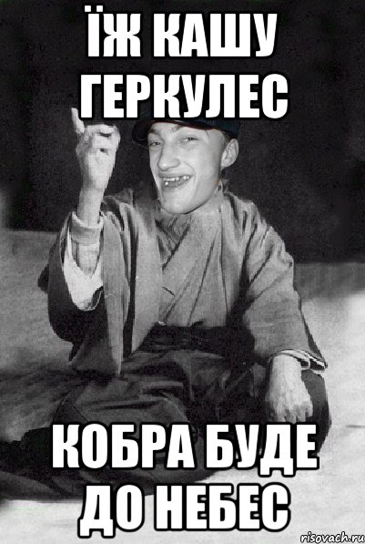 їж кашу геркулес кобра буде до небес