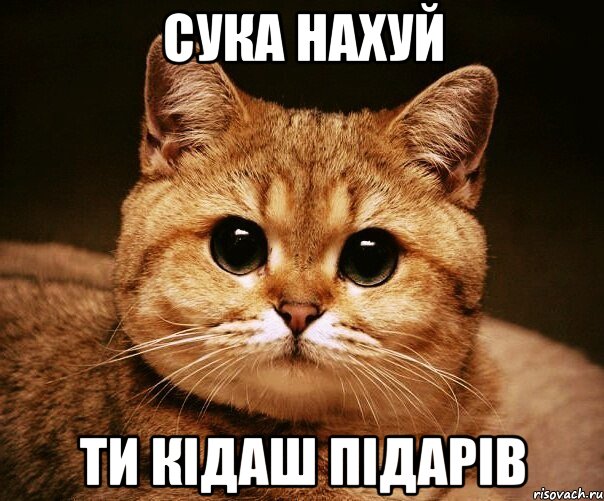 сука нахуй ти кідаш підарів, Мем fff