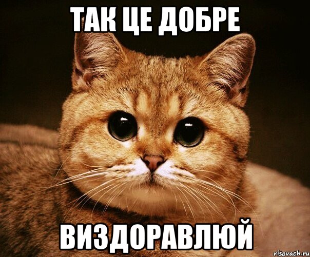 так це добре виздоравлюй, Мем fff