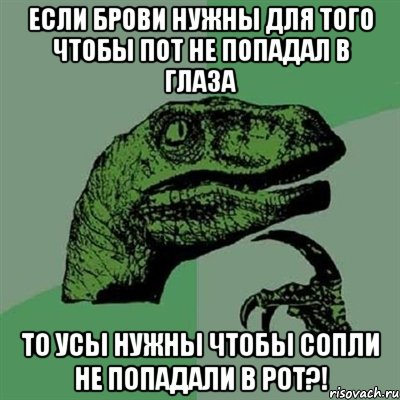 Если брови нужны для того чтобы пот не попадал в глаза то усы нужны чтобы сопли не попадали в рот?!, Мем Филосораптор