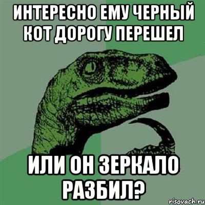 интересно ему черный кот дорогу перешел или он зеркало разбил?, Мем Филосораптор