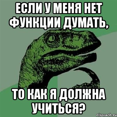 Если у меня нет функции думать, то как я должна учиться?, Мем Филосораптор