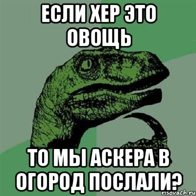 Если хер это овощь то мы аскера в огород послали?, Мем Филосораптор