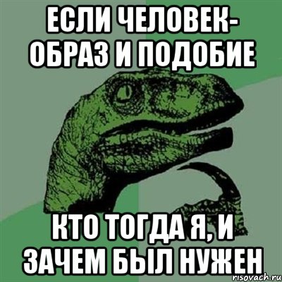 Если человек- образ и подобие Кто тогда я, и зачем был нужен, Мем Филосораптор