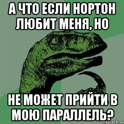 А что если Нортон любит меня, но не может прийти в мою параллель?, Мем Филосораптор