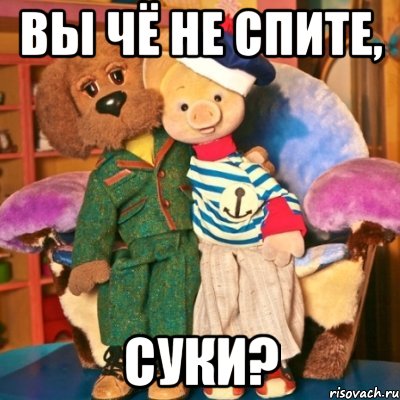 ВЫ ЧЁ НЕ СПИТЕ, СУКИ?
