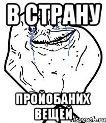 В страну пройобаних вещей, Мем Forever Alone