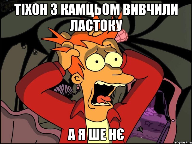 Тіхон з камцьом вивчили ластоку А я ше нє, Мем Фрай в панике