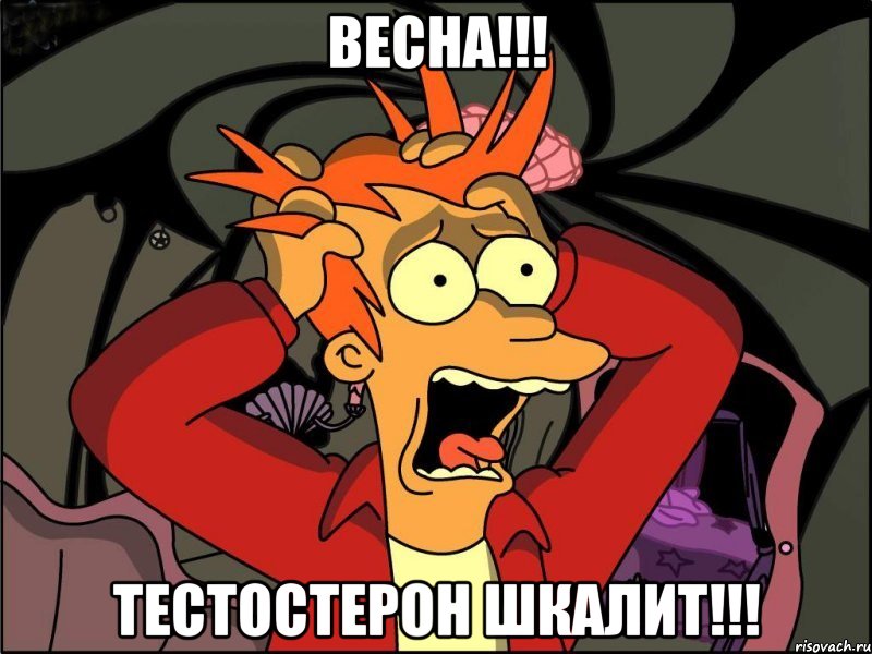 Весна!!! Тестостерон ШКАЛИТ!!!, Мем Фрай в панике