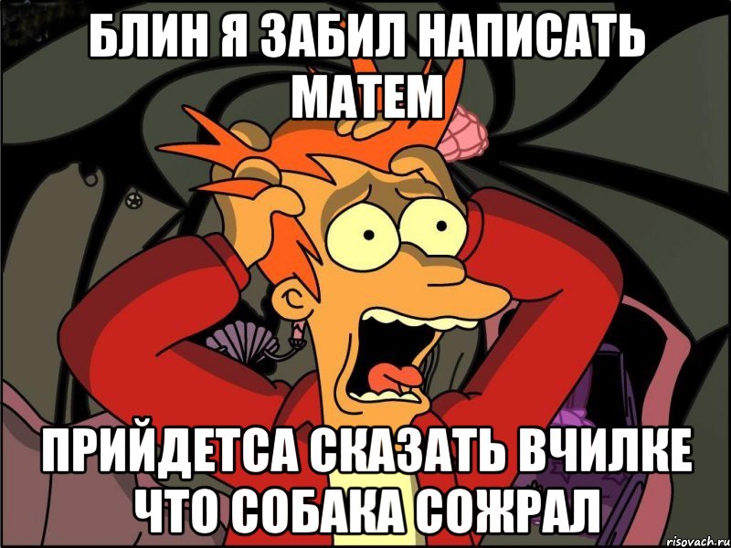 блин я забил написать матем прийдетса сказать вчилке что собака сожрал, Мем Фрай в панике