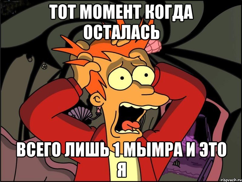 тот момент когда осталась всего лишь 1 мымра и это я, Мем Фрай в панике