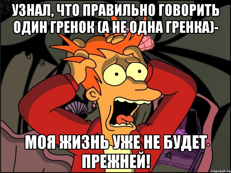 узнал, что правильно говорить один гренок (а не одна гренка)- моя жизнь уже не будет прежней!, Мем Фрай в панике