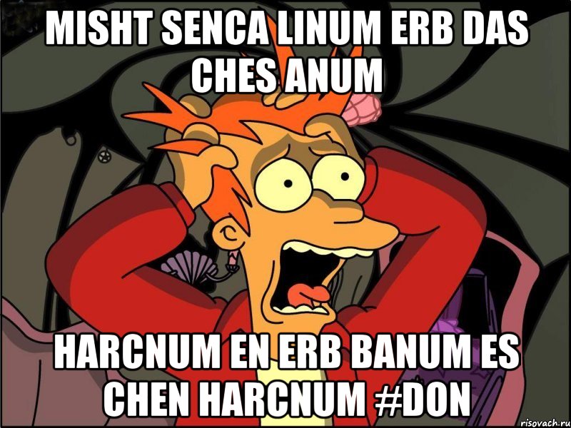 misht senca linum erb das ches anum harcnum en erb banum es chen harcnum #Don, Мем Фрай в панике