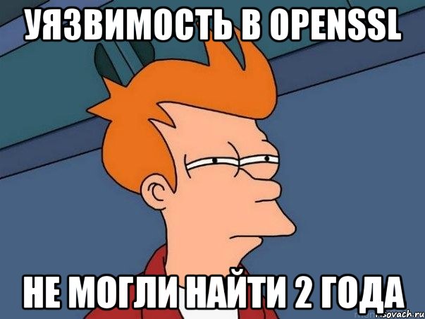 Уязвимость в OpenSSL Не могли найти 2 года, Мем  Фрай (мне кажется или)