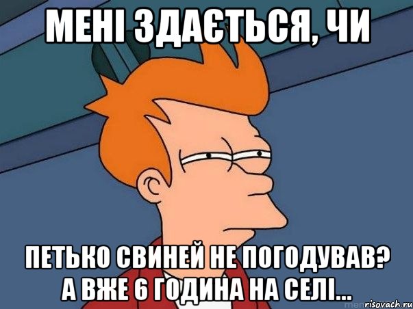 МЕНІ ЗДАЄТЬСЯ, ЧИ ПЕТЬКО СВИНЕЙ НЕ ПОГОДУВАВ? А ВЖЕ 6 ГОДИНА НА СЕЛІ..., Мем  Фрай (мне кажется или)