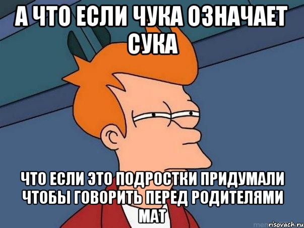 А что если чука означает сука Что если это подростки придумали чтобы говорить перед родителями мат, Мем  Фрай (мне кажется или)